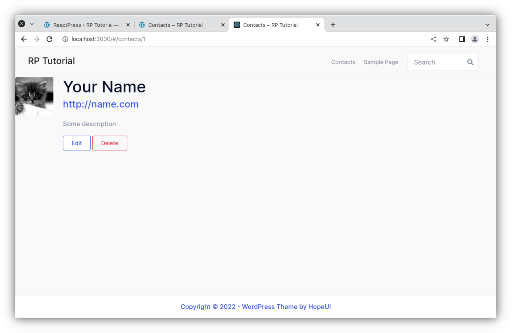 React with WordPress Tutorial - Rockiger